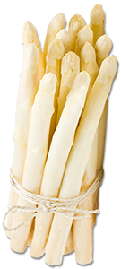 Bild von leckeren weissen Spargel als Bund